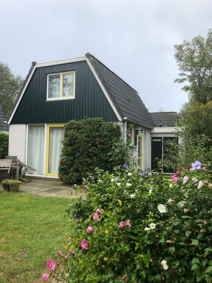 Bungalows - Bungalowpark Mooyeveld - Uniek Gelegen In De Duinen! Egmond-Binnen Room photo